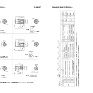 BMH系列擺線液壓馬達(dá)