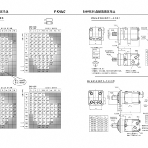 BMV系列擺線液壓馬達(dá)