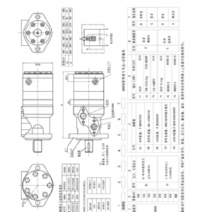 BMRB剎車(chē)系列擺線液壓馬達(dá)